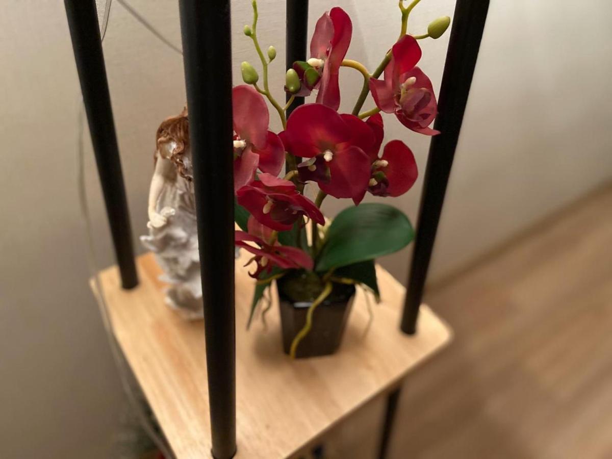Hotel Terrace 트빌리시 외부 사진